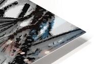 Snowy Conifer 1 HD Metal print
