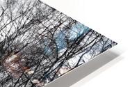 Railroad HD Metal print