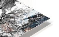 Pennsylvania Woods HD Metal print