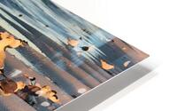 Gulls & Terns HD Metal print