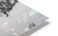 Misty Morning HD Metal print
