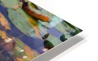 Water Lily 2 HD Metal print