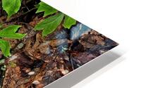 Mayapples HD Metal print