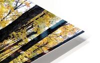 Fall Trail HD Metal print
