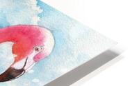 Pink Flamingo - Florida HD Metal print