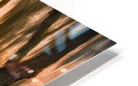 BACK IN THE SWAMP HD Metal print