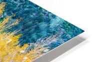 Riverbank Gold HD Metal print