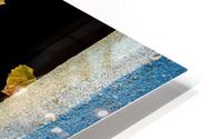 Floating Leaves HD Metal print