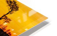 Florida Sunrise HD Metal print