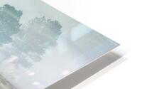 Trees In The Mist HD Metal print