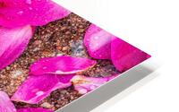 Fallen Petals HD Metal print