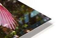 Roseate Spoonbill - I Believe I Can Fly Impression metal HD