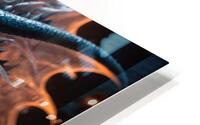 Blue dragon head with orange eyes with flames on the background HD Metal print