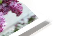 LE BAIN DE LILAS HD Metal print