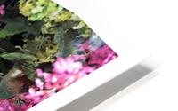 POPAUL MON POTE HD Metal print