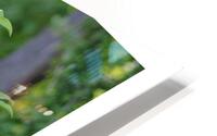 LES CLOCHETTES HD Metal print