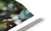 PROMESSES DE PROUESSES HD Metal print