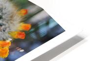 DES FLEURS SUR UN LIT D EPINES HD Metal print