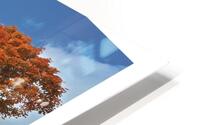 LE GRAND VOYAGE HD Metal print