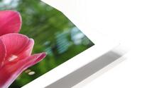 OSE HD Metal print