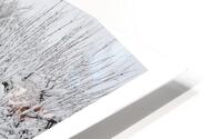 SOUS LA NEIGE HD Metal print