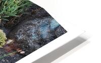 LES TETES DURES HD Metal print