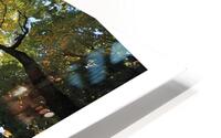 LA CROISSANCE HD Metal print