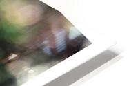 ILLUMINEE HD Metal print