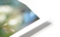 COLORE TA VIE HD Metal print