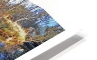 AU FEU HD Metal print