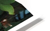VUE DU BALCON HD Metal print