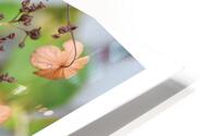 LE BUISSON ETOILEE HD Metal print