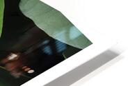 LES PETITS DETAILS HD Metal print