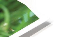 LA MOUCHE HD Metal print