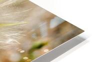 Wishes HD Metal print