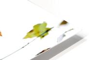 Falling For You 2 HD Metal print
