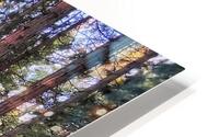 IMG 7528punch HD Metal print
