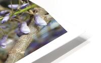 ATTRAPEZ LA GRAPPE HD Metal print