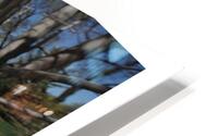 LE RECUL VERS L AVANT HD Metal print