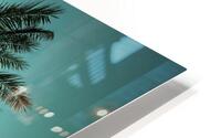 Tall Palms HD Metal print
