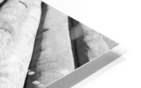 Timber HD Metal print