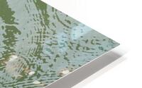 Green Reverie HD Metal print