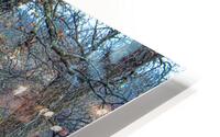 Little Bit HD Metal print