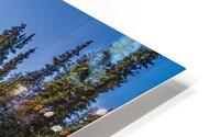 Athebasca Falls HD Metal print