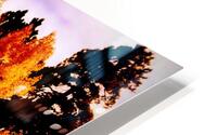 Forest Fire HD Metal print