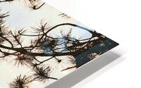 The Bones HD Metal print