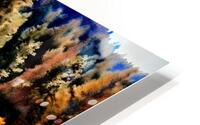 The Forest Flees HD Metal print