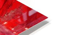 Study in Ancient Red HD Metal print