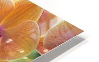 Oriental Spa HD Metal print