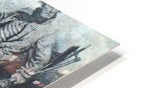 Havsnaud HD Metal print